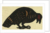 Illustration of English Tales Folk Tales and Ballads. Pheasant by Anonymous