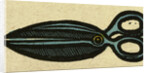 Illustration of English Tales Folk Tales and Ballads. Scissors by Anonymous
