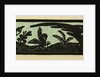 Illustration of English Tales Folk Tales and Ballads. Three Birds by Anonymous