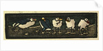 Illustration of English Tales Folk Tales and Ballads. Five Sea Gulls by Anonymous