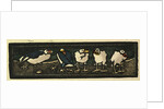 Illustration of English Tales Folk Tales and Ballads. Five Sea Gulls by Anonymous