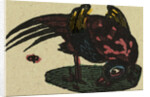Illustration of English Tales Folk Tales and Ballads. A Colourful Bird by Anonymous