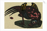 Illustration of English Tales Folk Tales and Ballads. A Colourful Bird by Anonymous
