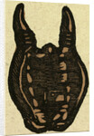 Illustration of English Tales Folk Tales and Ballads. Bag by Anonymous