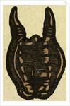 Illustration of English Tales Folk Tales and Ballads. Bag by Anonymous