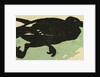 Illustration of English Tales Folk Tales and Ballads. A Bird. A Crow by Anonymous