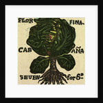 Illustration of English Tales Folk Tales and Ballads. Cabbage by Anonymous