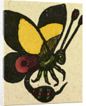 Illustration of English Tales Folk Tales and Ballads. A Butterfly by Anonymous