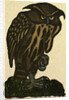 Illustration of English Tales Folk Tales and Ballads. A Grumpy Owl by Anonymous