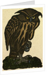 Illustration of English Tales Folk Tales and Ballads. A Grumpy Owl by Anonymous