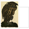 Illustration of English Tales Folk Tales and Ballads. A Grumpy Owl by Anonymous