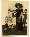 Illustration of English Tales Folk Tales and Ballads. A Woman Feeding Ducks by Anonymous
