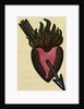 Illustration of English Tales Folk Tales and Ballads. A Burning Heart Pierced by an Arrow by Anonymous