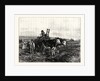 Hay-Making in Switzerland by Anonymous