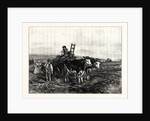 Hay-Making in Switzerland by Anonymous