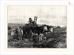 Hay-Making in Switzerland by Anonymous
