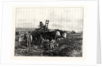 Hay-Making in Switzerland by Anonymous