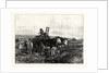 Hay-Making in Switzerland by Anonymous