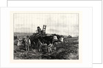 Hay-Making in Switzerland by Anonymous
