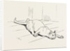 The Cat that Ate the Rat, 19th Century by Anonymous
