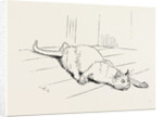 The Cat that Ate the Rat, 19th Century by Anonymous
