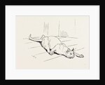 The Cat that Ate the Rat, 19th Century by Anonymous