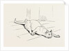 The Cat that Ate the Rat, 19th Century by Anonymous