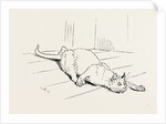 The Cat that Ate the Rat, 19th Century by Anonymous