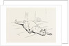 The Cat that Ate the Rat, 19th Century by Anonymous