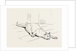 The Cat that Ate the Rat, 19th Century by Anonymous
