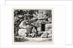 The Hermit at His Morning Devotions by Anonymous