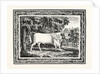 The Chillingham Bull, First State by Anonymous