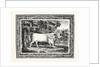 The Chillingham Bull, First State by Anonymous
