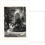 A Patio, or Central Courtyard, Seville, Spain by Anonymous