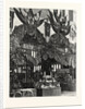 Floral Decoration of the Austrian Courts by Anonymous