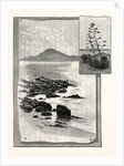 Camp Bay. Apes' Hill, Africa, in the Distance by Anonymous