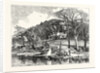 Mr. Ruskin's House, Brantwood by Anonymous