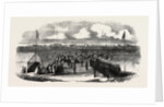 Presentation of a Silver Bugle by the Ladies of Belfast in the Colony of Victoria to the Volunteer Rifle Corps of that Town by Anonymous