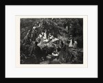 Holiday in the Woods by Anonymous