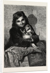 Two Little Monkeys, in the Exhibition of the Society of Female Artists by Anonymous