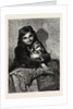 Two Little Monkeys, in the Exhibition of the Society of Female Artists by Anonymous