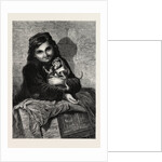 Two Little Monkeys, in the Exhibition of the Society of Female Artists by Anonymous