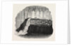 Coffin of Her Late Royal Highness the Duchess of Kent. by Anonymous