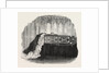 Coffin of Her Late Royal Highness the Duchess of Kent. by Anonymous