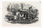 Gathering Washing Bunching and Carting Carrots for the London Market UK by Anonymous