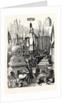 French Spoils from China Exhibited at the Palace of the Tuileries France by Anonymous