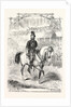 The Volunteer Sham Fight at Brighton on Easter Monday: Lord Ranelagh Passing the Grand Stand by Anonymous