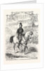 The Volunteer Sham Fight at Brighton on Easter Monday: Lord Ranelagh Passing the Grand Stand by Anonymous