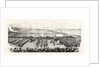 The Volunteer Sham Fght at Brighton on Easier Monday: View from the Grand Stand the Troops Marching Past by Anonymous