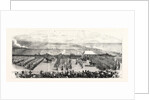 The Volunteer Sham Fght at Brighton on Easier Monday: View from the Grand Stand the Troops Marching Past by Anonymous